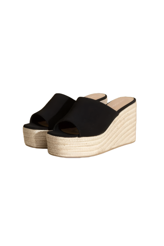 WEBSTER-20 Platform Wedge Slide Heels